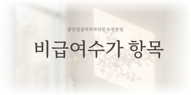 비급여수가 항목 안내